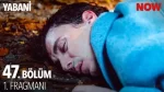 Yabani 47. Bölüm Fragmanı içeriğine ait görsel