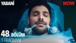 Yabani 48. Bölüm Fragmanı içeriğine ait görsel