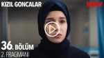 Kızıl Goncalar 36. Bölüm 2. Fragmanı içeriğine ait görsel