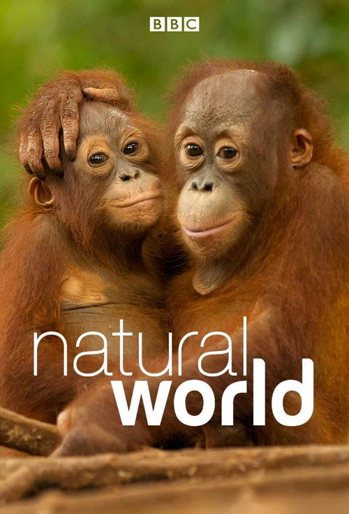 Natural World Dizisi Nerede Yayınlanıyor?