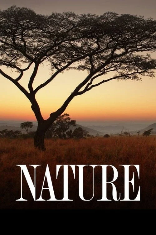 Nature Dizisi Nerede Yayınlanıyor?