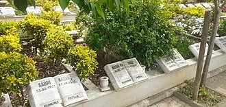 Nur Subaşı